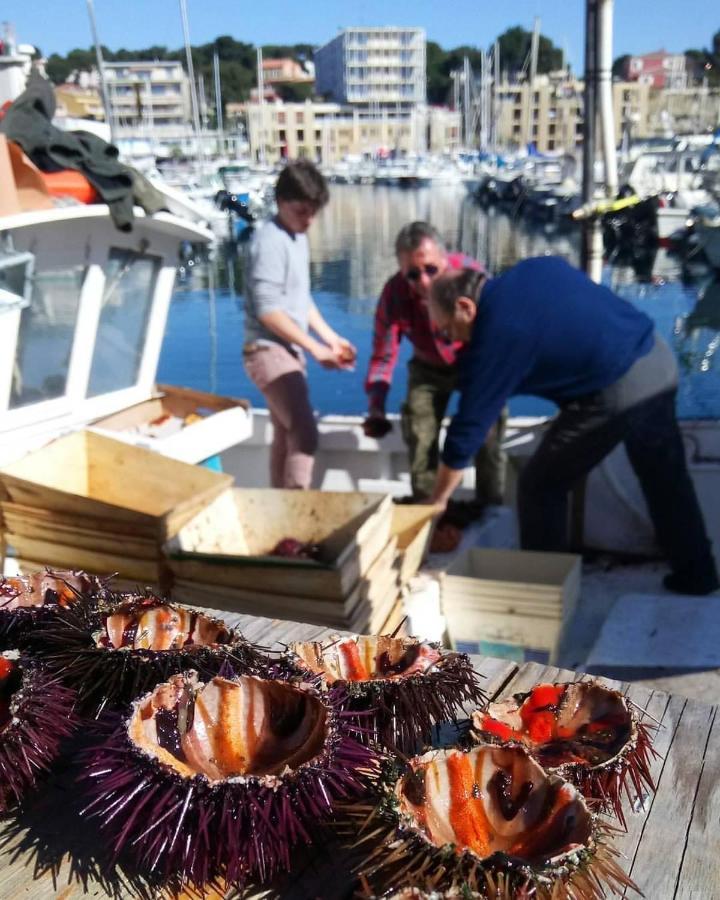200M De La Plage ,3Mn Du Port A 50M Du Centre Ville Carry-le-Rouet Bagian luar foto
